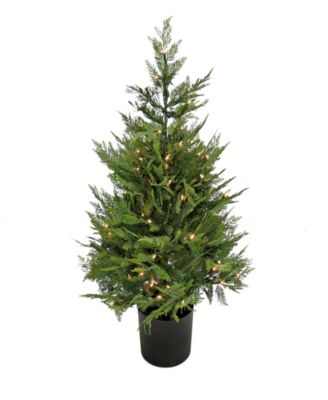 National Tree Company