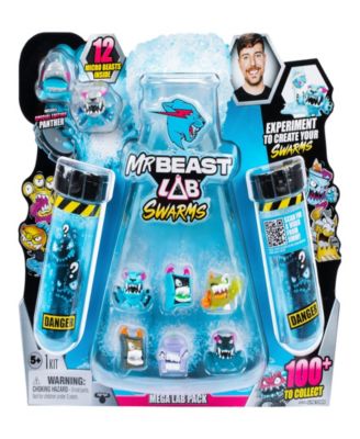 Mr Beast Lab