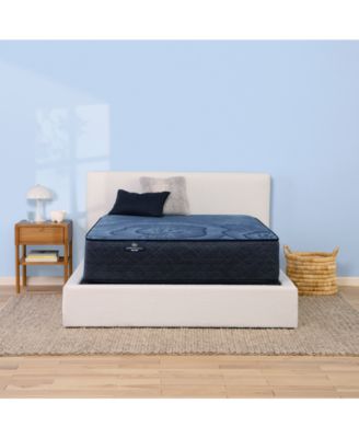 Serta - Perfect Sleeper Euphoric Nights 14" Plush Hybrid Mattress Set, Queen Split