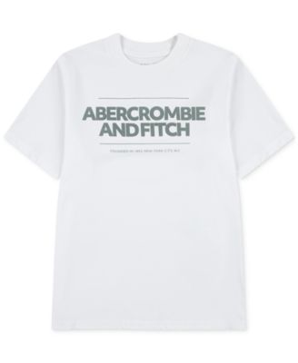abercrombie kids - Big Boys Cinder Block T-Shirt